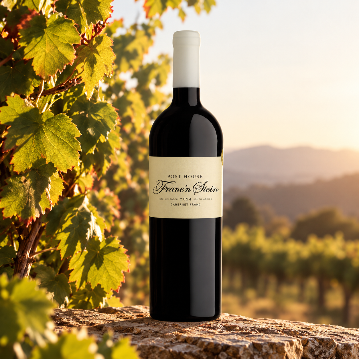 Franc’n Stein Cabernet Franc 2024